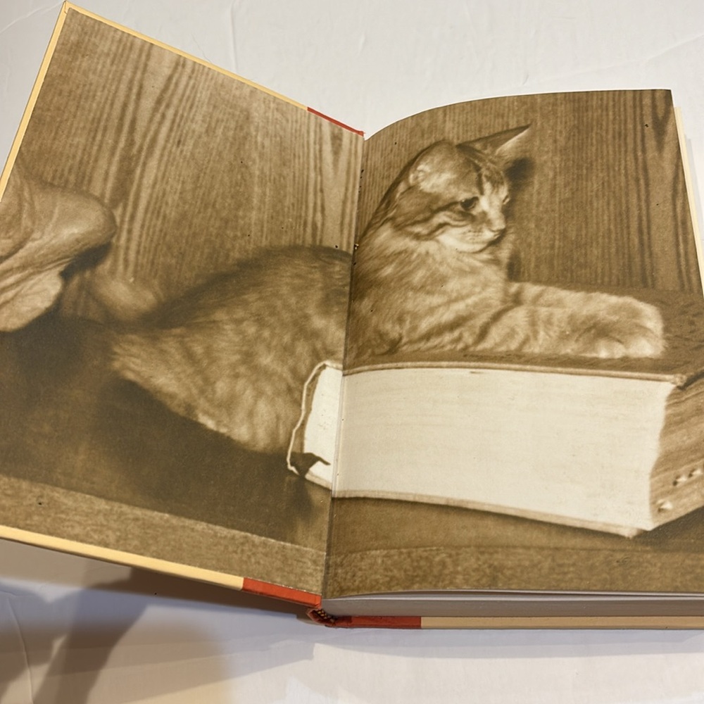 Dewey: The SmallTown Library Cat Who Touched the World by V. Myron - Hardcover